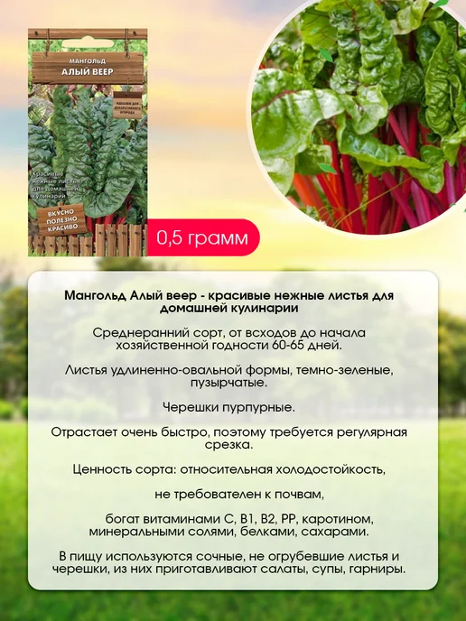 Агрохолдинг ПОИСК Мангольд листовой семена 4 шт, 4 шт, фото 4
