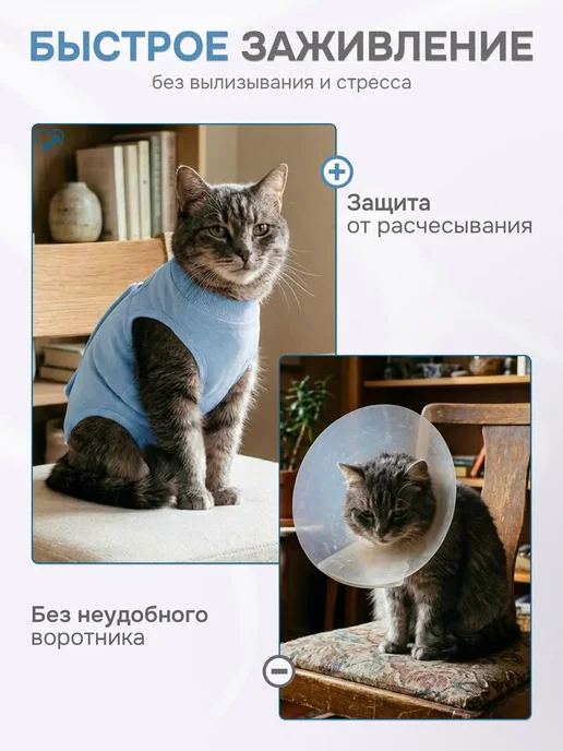 Попона послеоперационная для кошек и мелких пород собак, вариант, фото 3