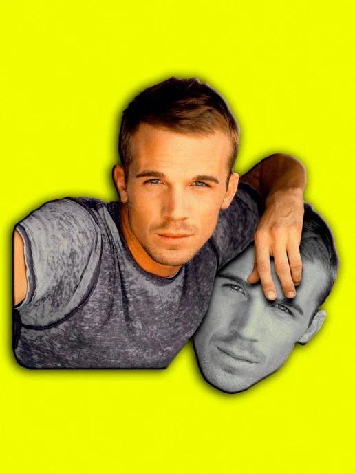 Сухой корм PEDIGREE для собак, взрослые, мелкие, говядина, 2,2 кг, фото 5