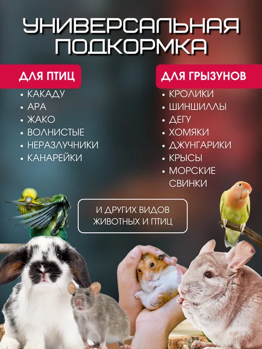 Пищевая добавка морской белый ракушечник Минеральный камень для грызунов, хомяков, джунгариков 2шт, 3 шт, фото 7