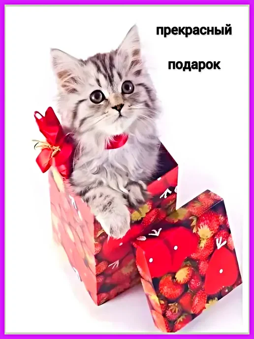 Disan Вентилятор увлажнитель воздуха, вариант, фото 7