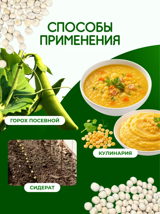 GREENOVITA Горох для проращивания 200 гр, 200 г, фото 6