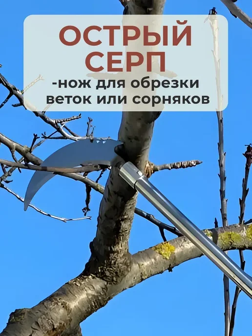 Плодосборник для фруктов с телескопической ручкой, серый, в упаковке 600 г, фото 6