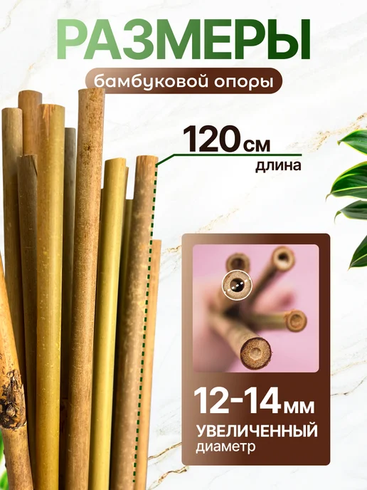 Зелёный Двор Бамбуковые палки для цветов, опора для растений 120 см 3 шт, 3 шт, фото 6