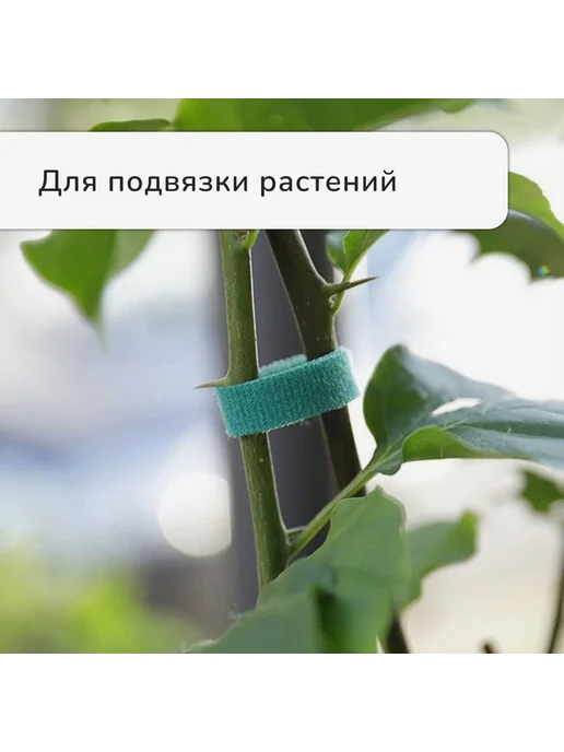 BOIKOHOME Лента липучка для подвязки растений ветвей, зеленый, фото 4