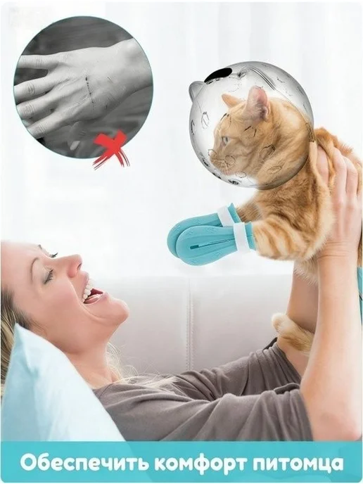Защитный комплект для кошки воротник + антицарапки, вариант, фото 4