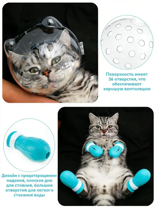 Защитный комплект для кошки воротник + антицарапки, вариант, фото 7