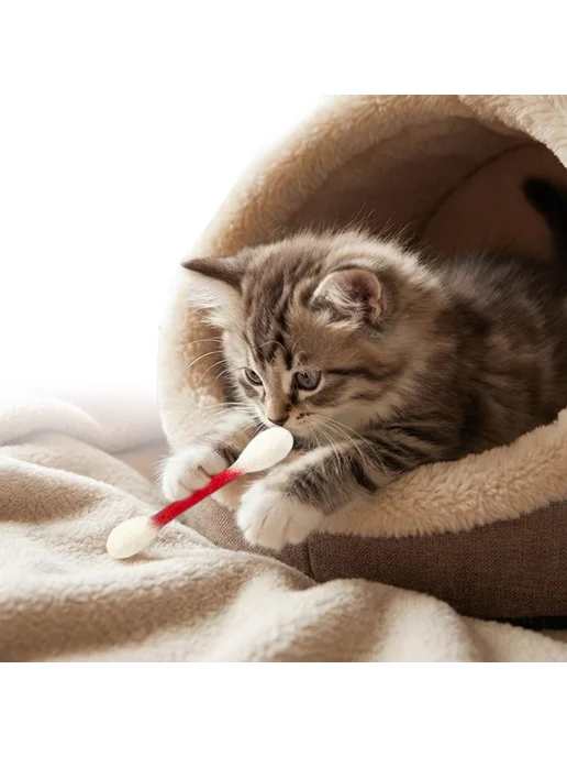 Котигрушка 6шт с котнрифом, жвачные для котят, массаж и игра, 6 шт
