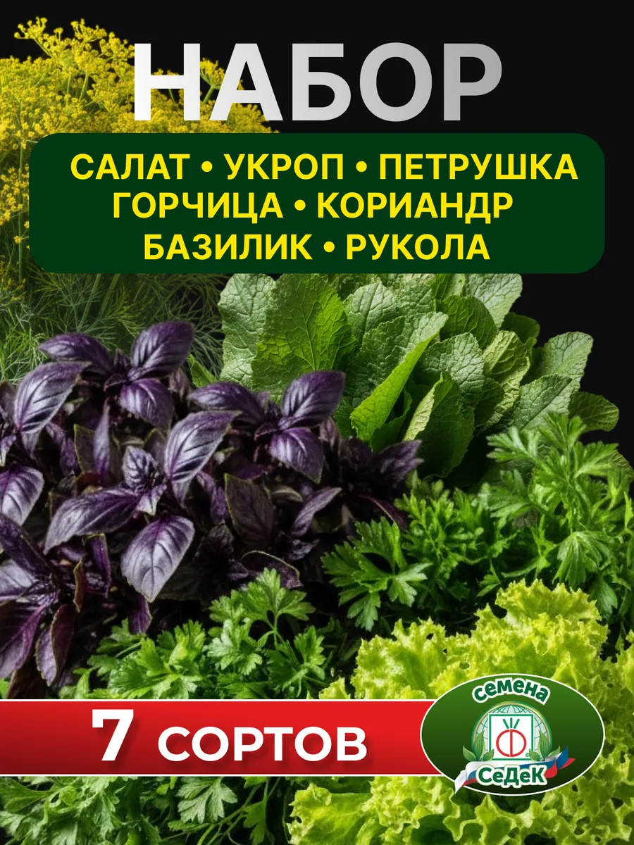Семена зелени на посадку в открытый грунт набор