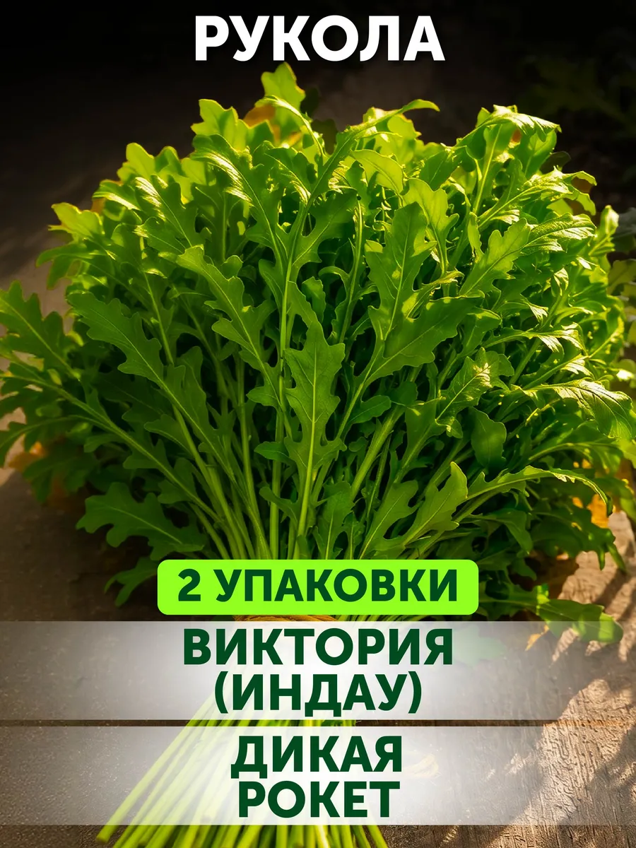 Семена рукколы для посадки в открытый грунт