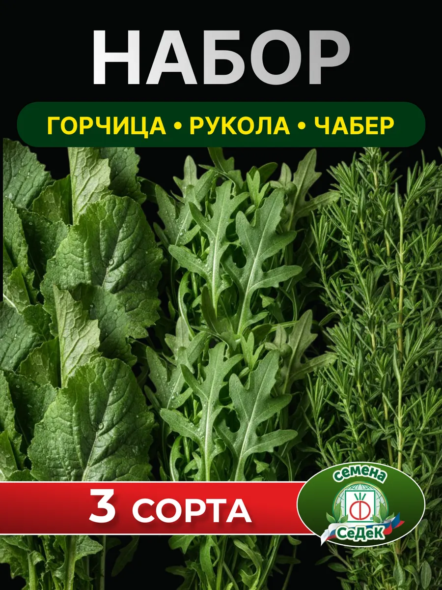 Семена зелени горчица рукола чабер