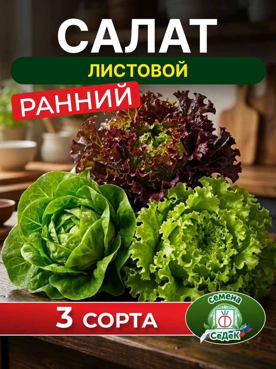 Семена салата листового для открытого грунта раннеспелый