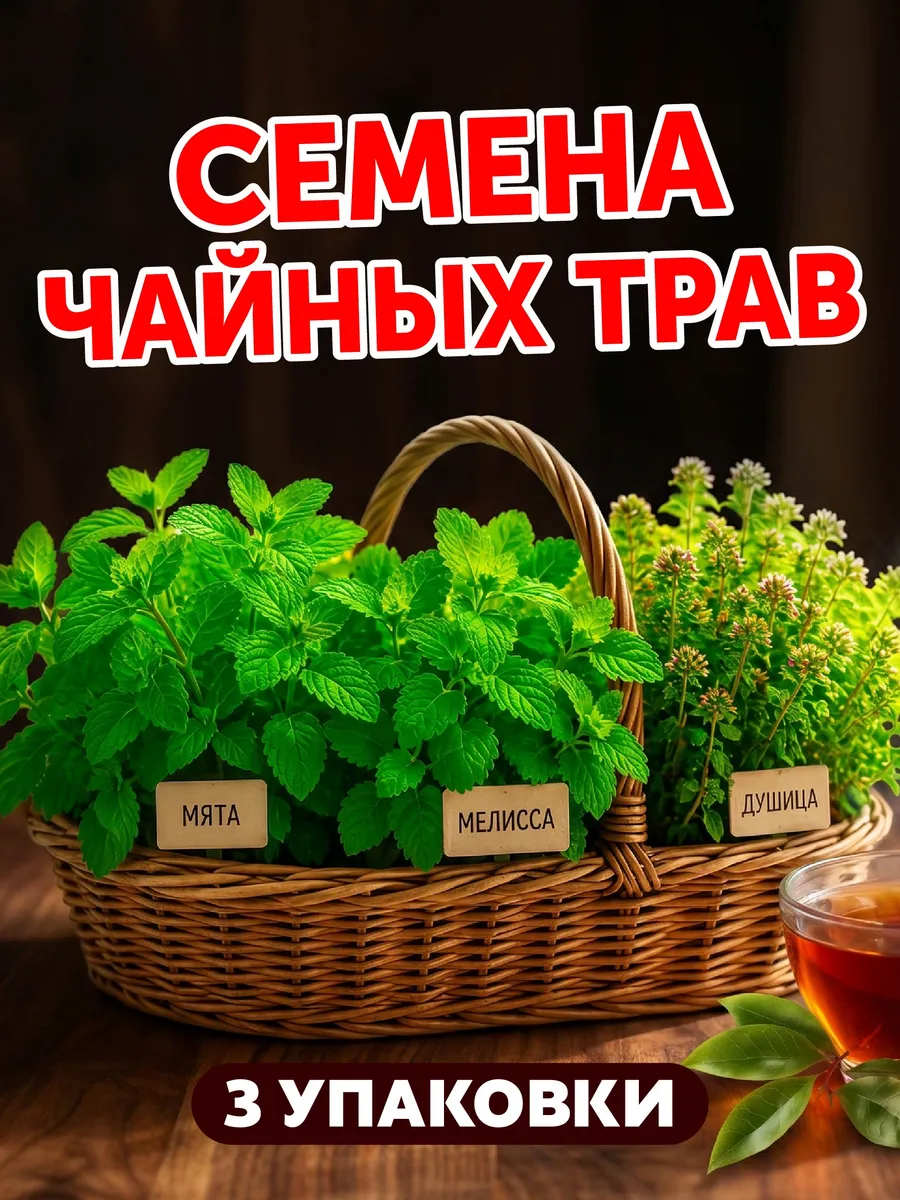 Набор семян зелени для чая