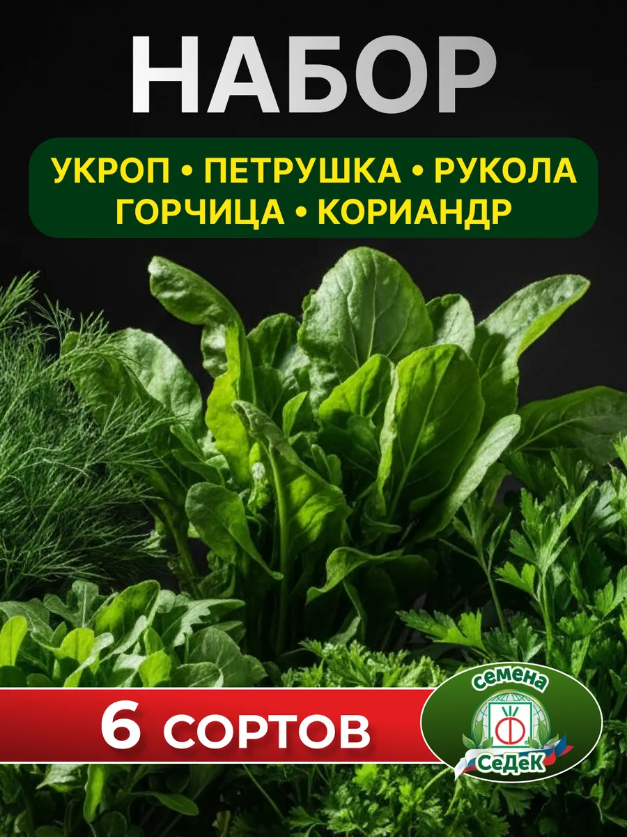Семена зелени для открытого грунта набор