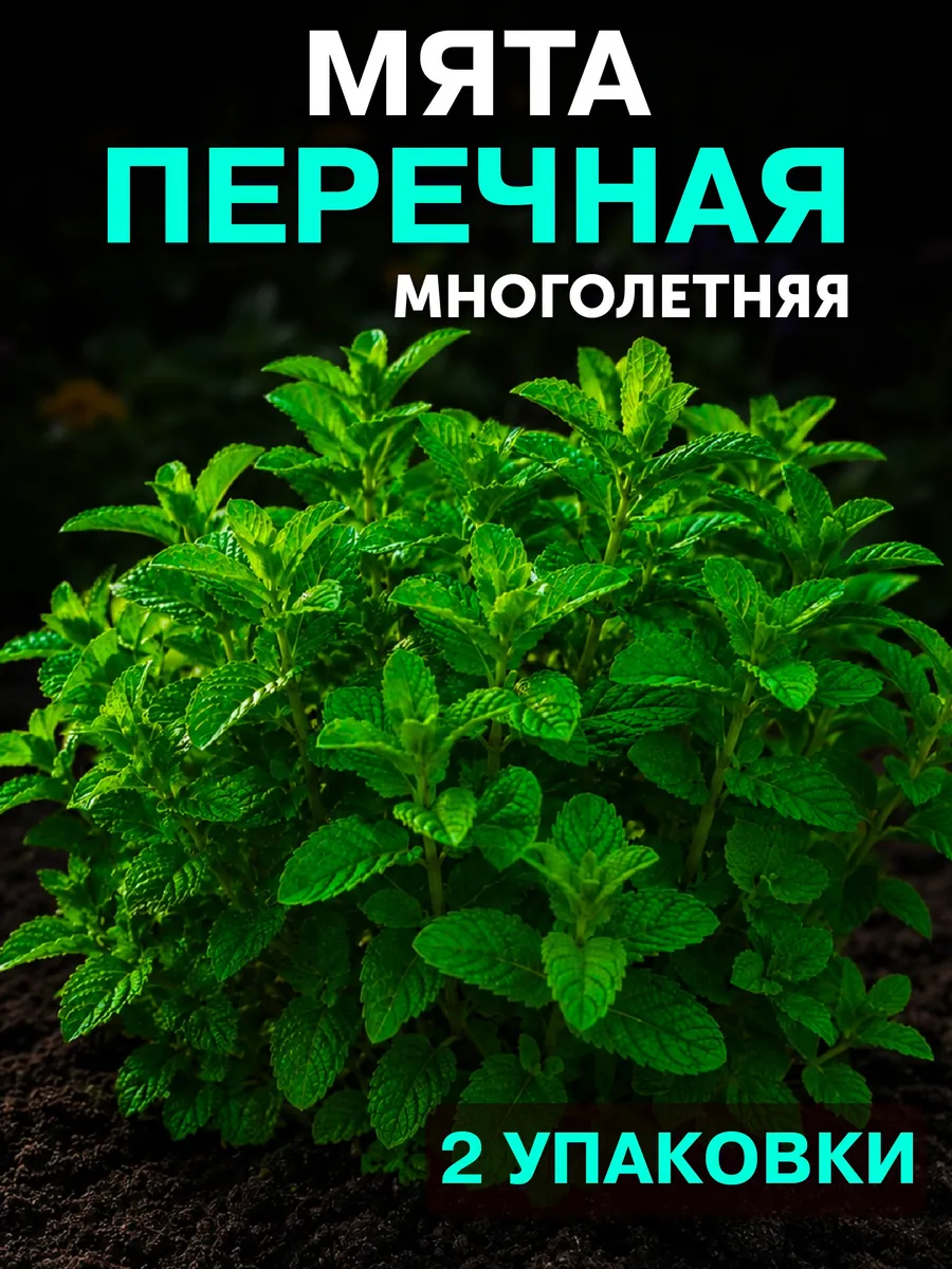 Семена мяты многолетней для посадки в открытый грунт