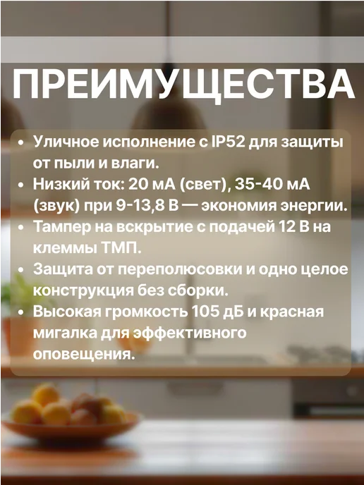 Арсенал Безопасности Гром-12К исп. 2 Оповещатель охранно-пожарный уличный (2 шт.), 2 шт, фото 2