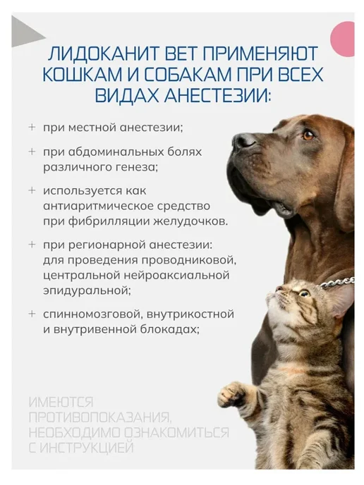 Nita-Farm Лидоканит Вет 2% маститный антисептик 20 мл, 20 мл, фото 3