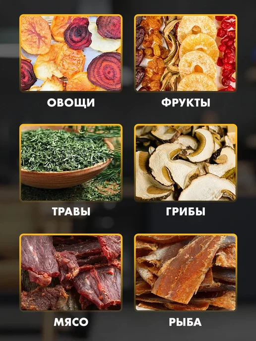 Сушилка для овощей фруктов и мяса электрическая, белый, фото 2