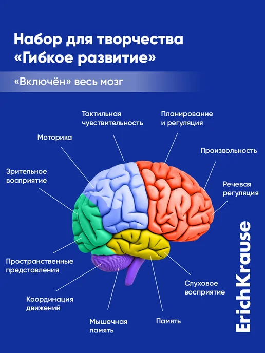 ErichKrause Канцелярский набор для творчества 10 предметов, 8 шт, фото 7