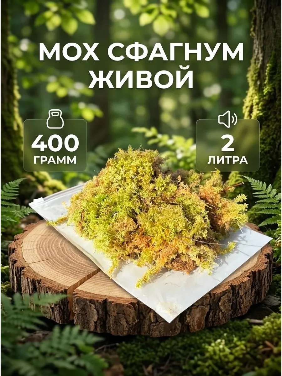 Мох сфагнум живой неочищенный 400 грамм