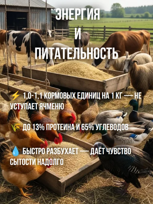Кормовой геркулес овсяные хлопья для скота и птицы, вариант, фото 2