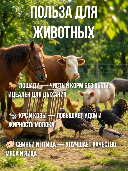 Кормовой геркулес овсяные хлопья для скота и птицы, вариант, фото 3