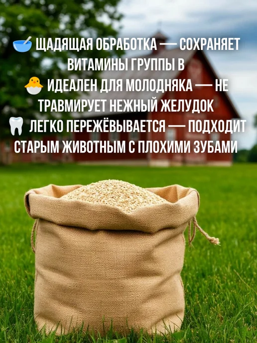 Кормовой геркулес овсяные хлопья для скота и птицы, вариант, фото 4