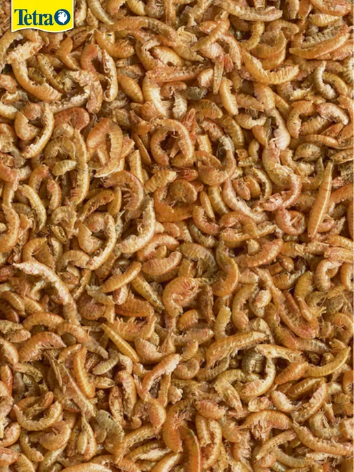 Корм для черепах ReptoDelica Gammarus 250мл, 250 мл, фото 4