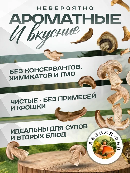 Лесная фея Грибы подберезовики сушеные 100г, 200 г, в упаковке 134 г, фото 3