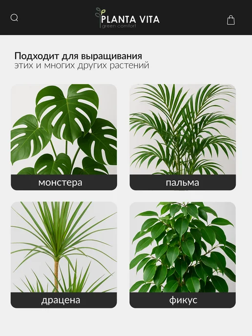 PLANTA VITA Кашпо для цветов суккулентов с автополивом, белый, фото 5