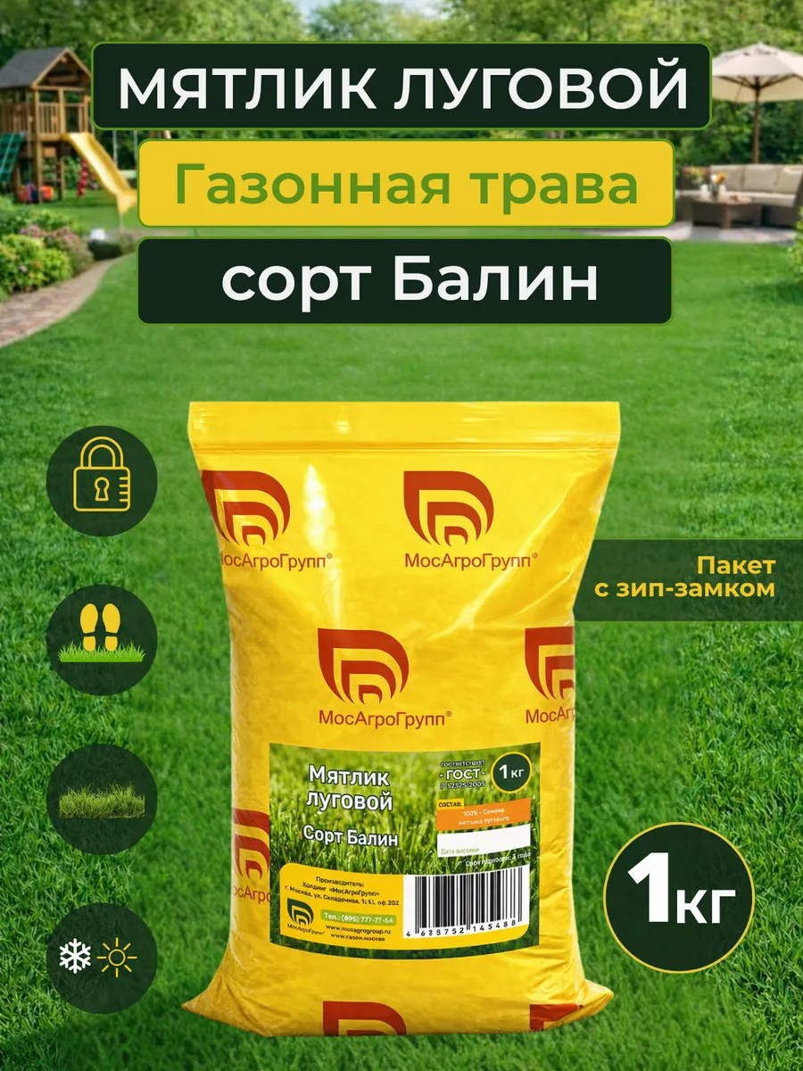 Семена мятлика лугового 1кг сорт Балин