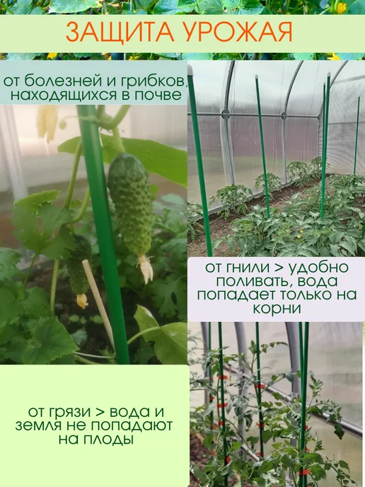 ДляДомаДляДачи Колышки для помидор 2 метра, 20 штук, 2 м, фото 8