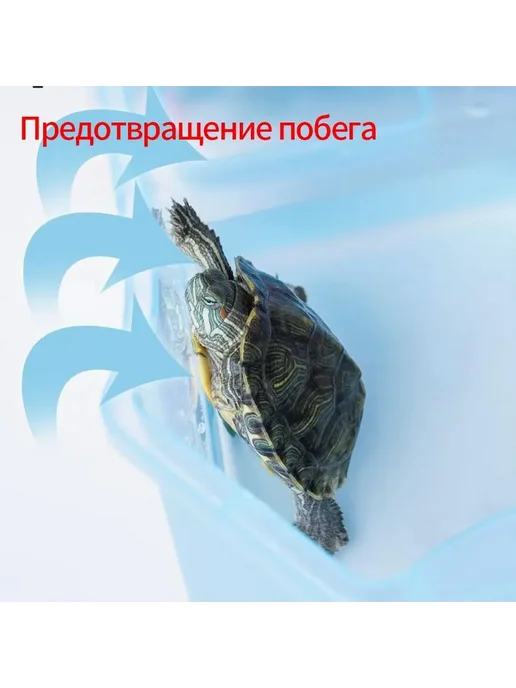 Труба Аквариум для черепах без освещения 23*16 230*160*85, 23x16, фото 4
