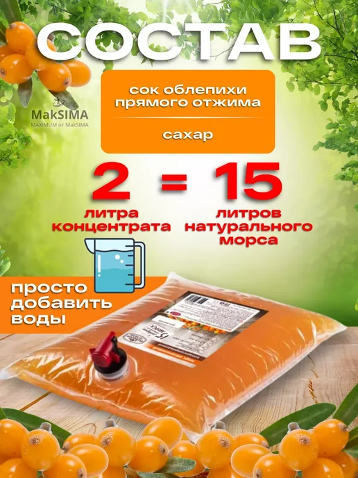 САВА Морс облепиховый концентрированный, 2л, 1 шт, 2 л, 1 шт, фото 2