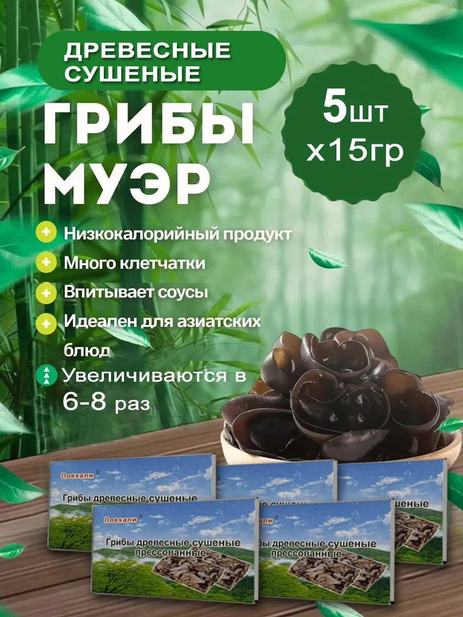 Древесные Грибы Муэр коричневые 5шт набор