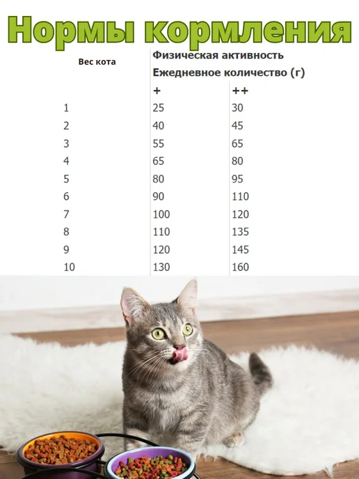 Сухой корм Primordial Cat Neutered для собак, взрослые, 2 кг, фото 2