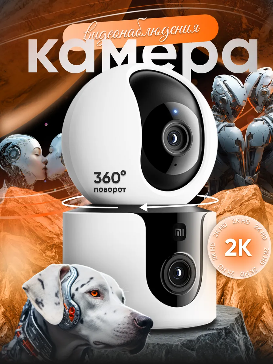 Камера видеонаблюдения Smart Camera C300 Dual
