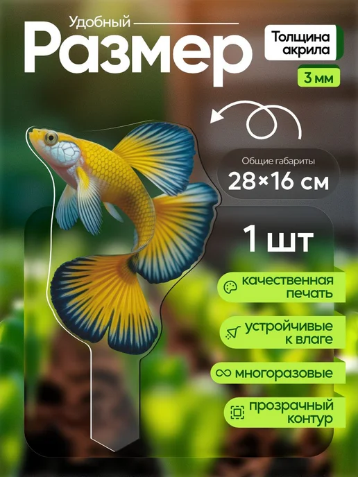 NEW! 2 плюс 1 Топпер табличка Рыбка 1 штука, белый, фото 2