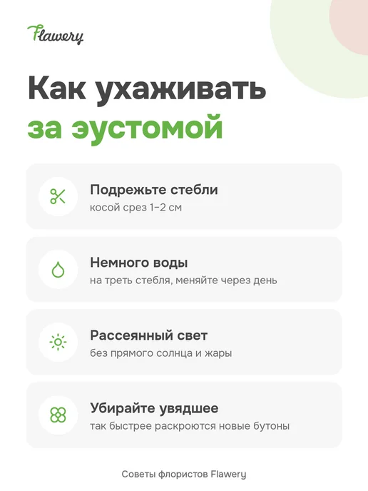 Букет живых цветов 7 белых эустом 45 см, белый, фото 7