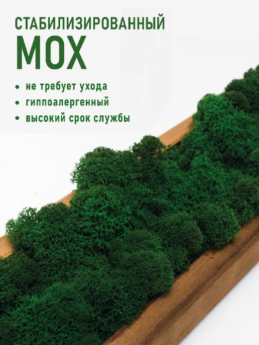 Люблю Баню Панно со стабилизированным мхом 100х10х6см, 100x10x6 см, фото 4