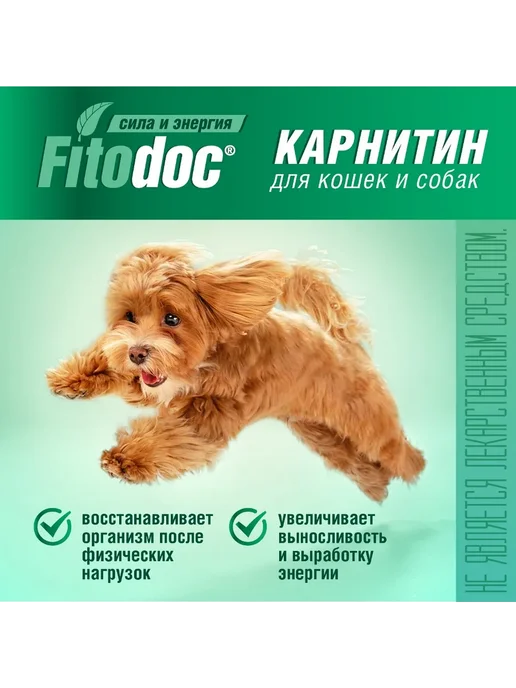АВЗ Кормовая добавка для собак и кошек Карнитин 50 мл, 50 мл, фото 2