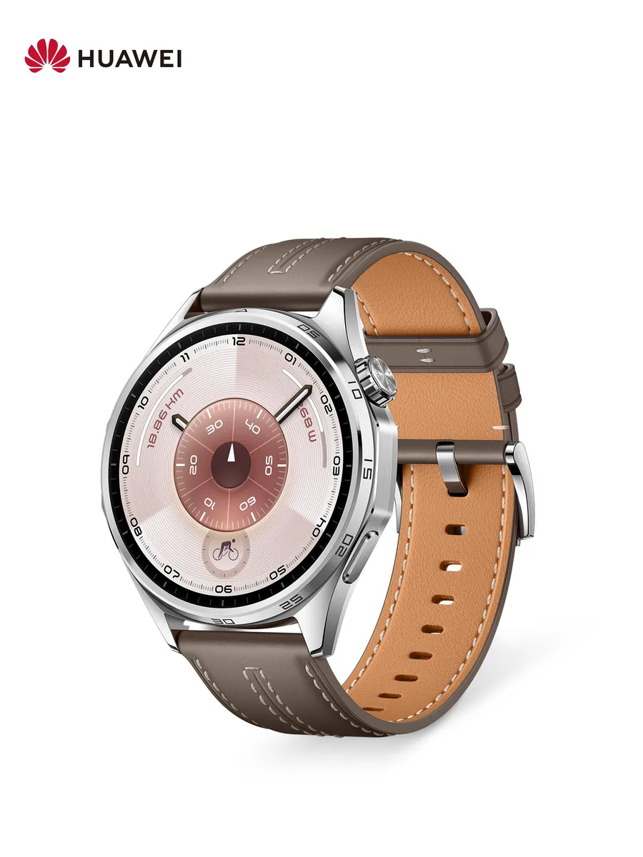 Huawei Смарт часы WATCH GT 6 46 мм Серый