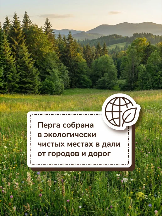 ЯНТАРНЫЙ КЛЮЧ Перга пчелиная натуральная 50 г, 2026, 100 г, фото 6