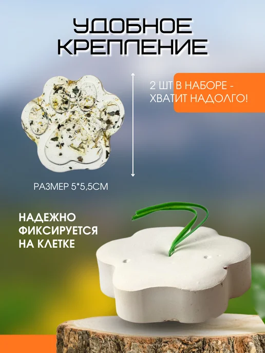 Пищевая добавка морской белый ракушечник Минеральный камень для грызунов, хомяков, кроликов 2шт, 2 шт, фото 3