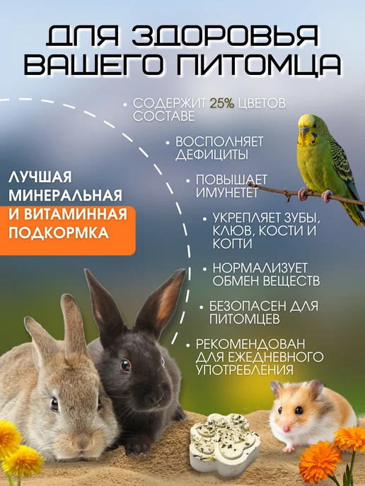 Пищевая добавка морской белый ракушечник Минеральный камень для грызунов, хомяков, кроликов 2шт, 2 шт, фото 5