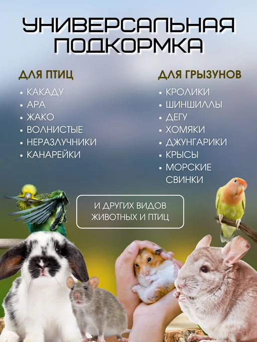 Пищевая добавка морской белый ракушечник Минеральный камень для грызунов, хомяков, кроликов 2шт, 2 шт, фото 7