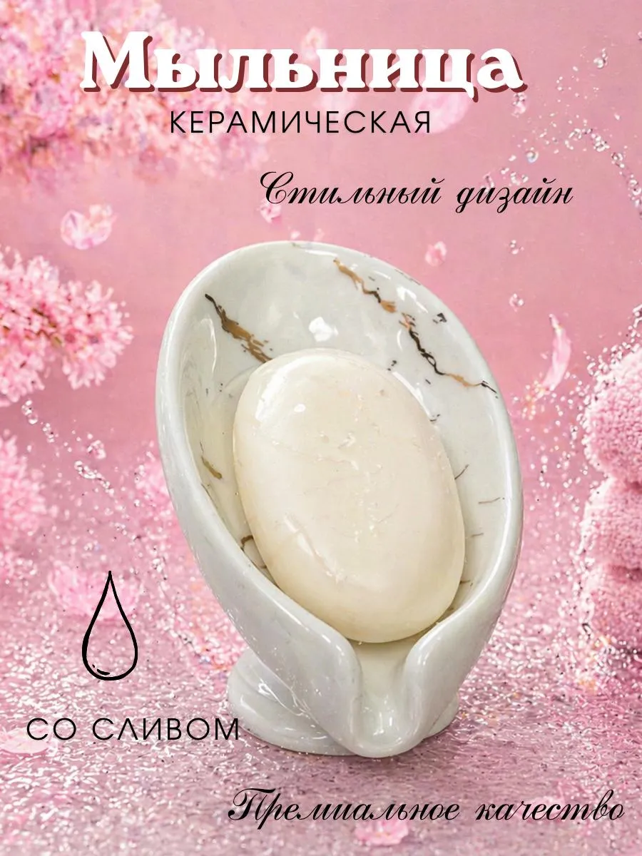 мыльница
