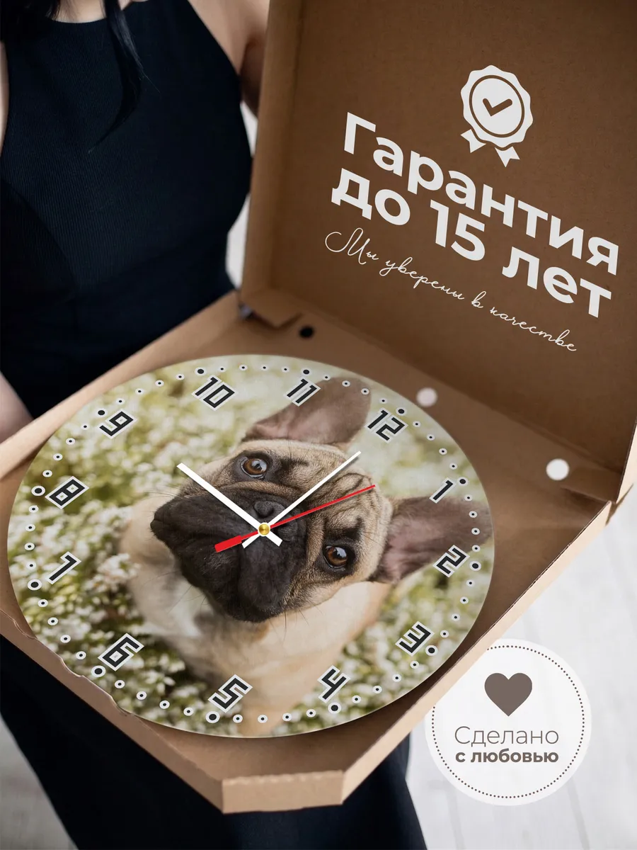 Часы настенные "Францезкий бульдог кремовый" — фото 3