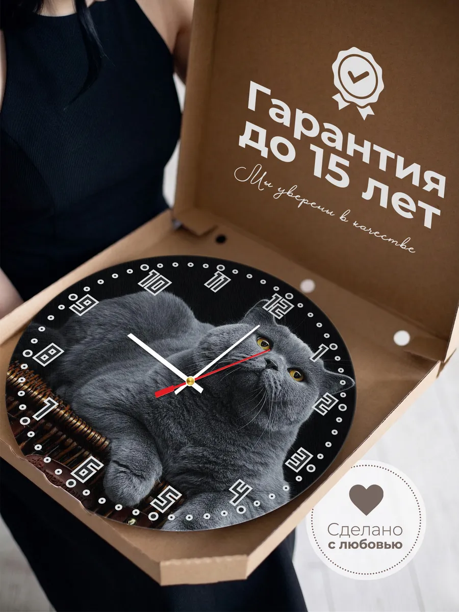 Часы настенные "Короткошерстная британка" — фото 3