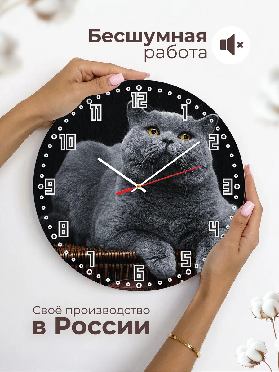 Часы настенные "Короткошерстная британка" — фото 6